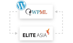 Website Localisation Integration with WPML in Hong Kong